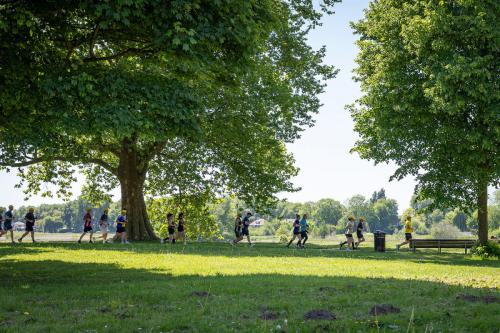 Bierrun Den Bosch 2025