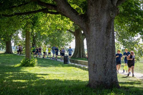 Bierrun Den Bosch 2025