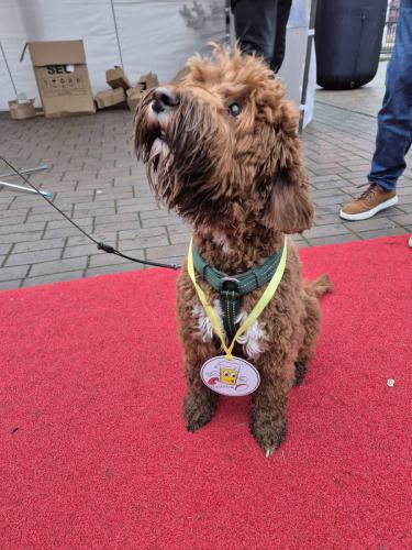 Bierrun en -walk voor Serious Request